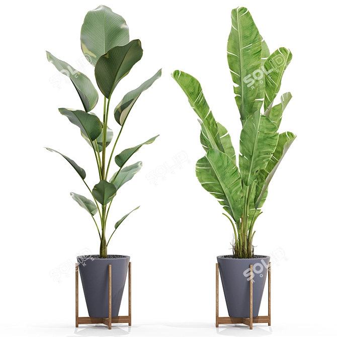 Botanical Bliss 3D Plants Set 3D model image 3