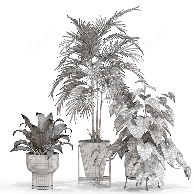 Botanical Bliss 3D Plants Set 3D model image 4