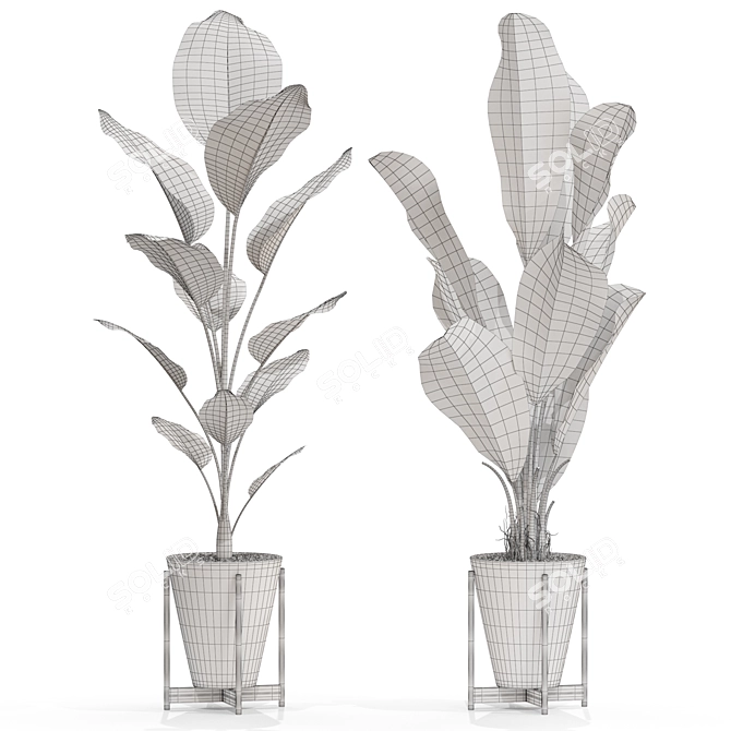 Botanical Bliss 3D Plants Set 3D model image 5