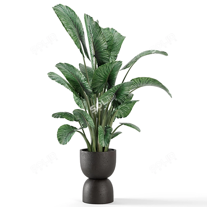 Rusty Concrete Pot Indoor Plants 3D model image 5