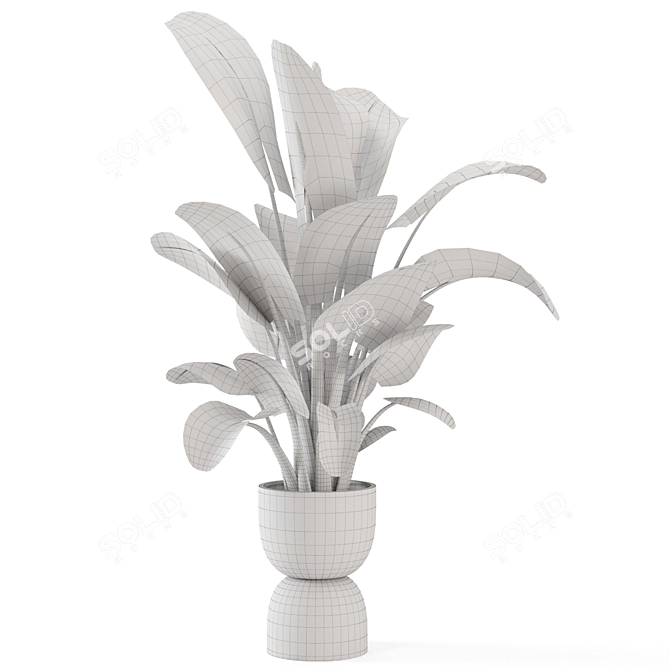 Rusty Concrete Pot Indoor Plants 3D model image 6