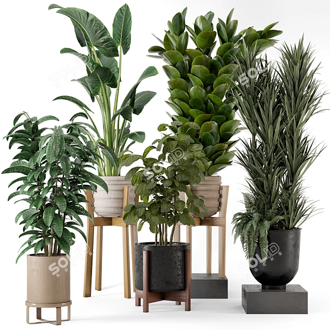 Large Indoor Plants Set FermLiving 3D model image 1