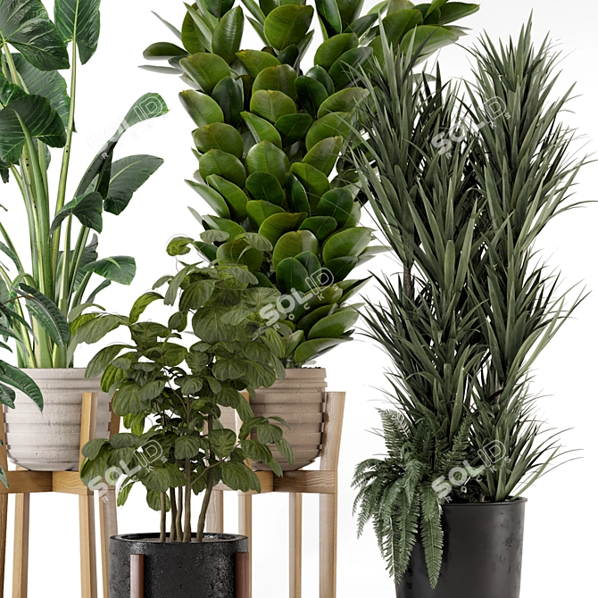 Large Indoor Plants Set FermLiving 3D model image 3