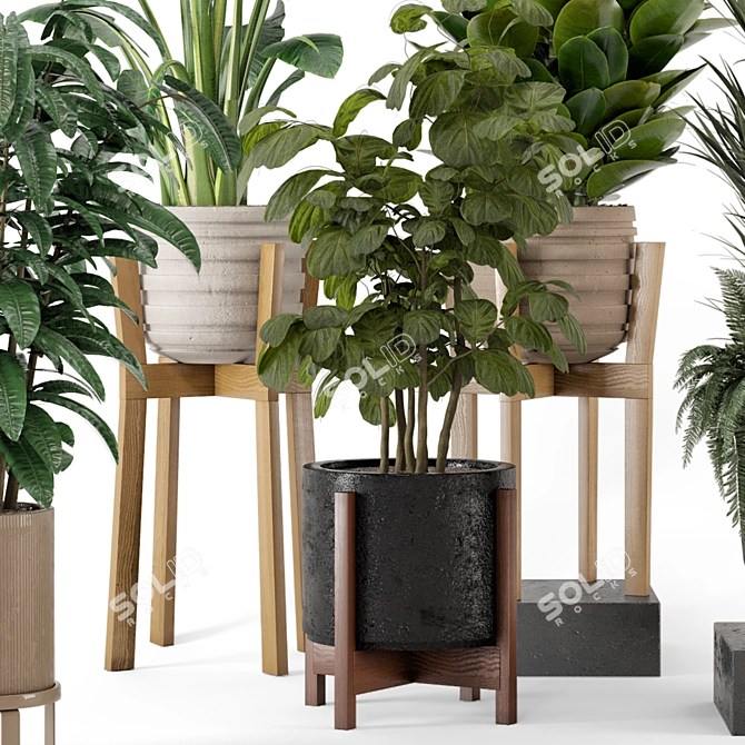 Large Indoor Plants Set FermLiving 3D model image 5