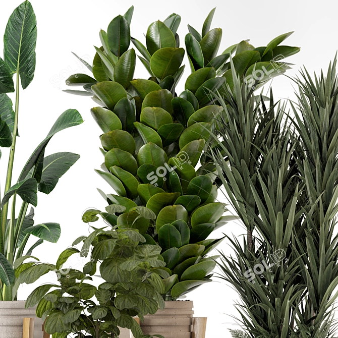 Large Indoor Plants Set FermLiving 3D model image 6