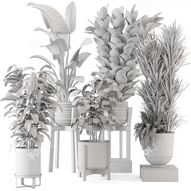 Large Indoor Plants Set FermLiving 3D model image 7