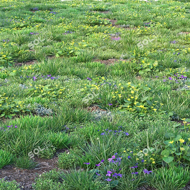Spring Meadow with Flowers 3D model image 2