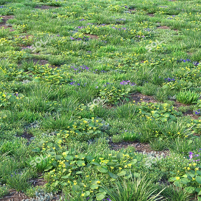 Spring Meadow with Flowers 3D model image 3