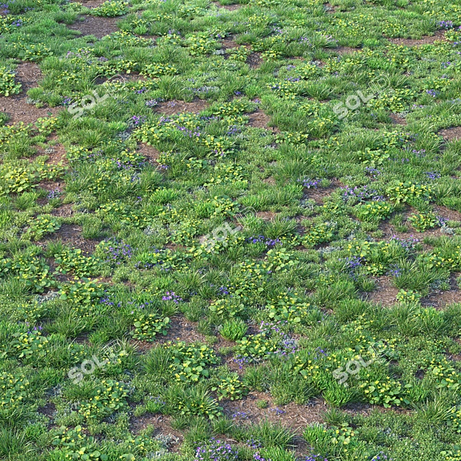 Spring Meadow with Flowers 3D model image 4