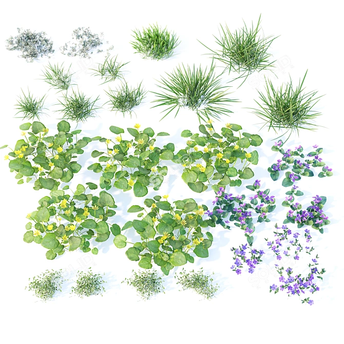 Spring Meadow with Flowers 3D model image 5