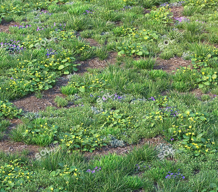 Spring Meadow with Flowers 3D model image 7