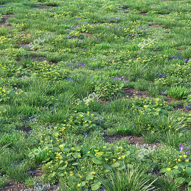 Spring Meadow with Flowers 3D model image 9