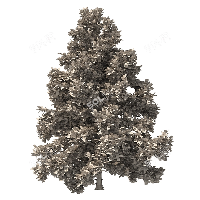 3 Cyprus Cedar Tree Models 3D model image 7