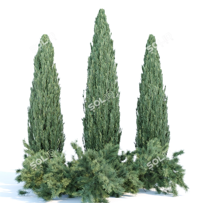 JuniPBR Outdoor Collection Vol. 99 3D model image 1