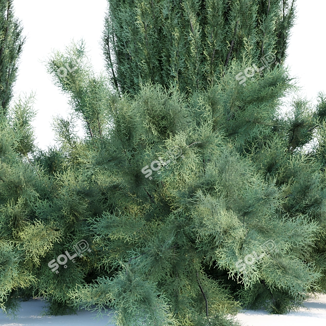 JuniPBR Outdoor Collection Vol. 99 3D model image 2