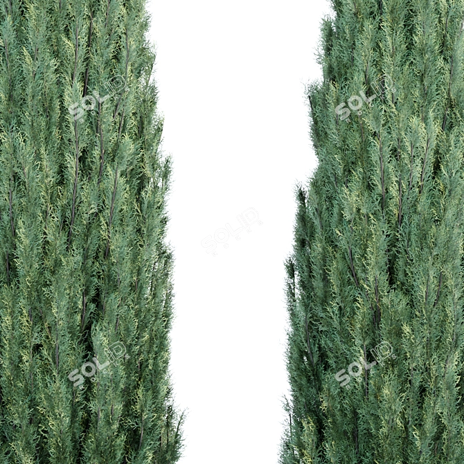 JuniPBR Outdoor Collection Vol. 99 3D model image 3