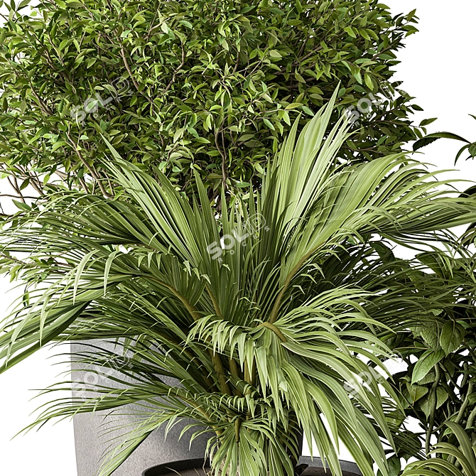 Green Oasis Duo in Pot 3D model image 3