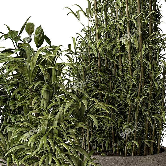 Green Oasis Duo in Pot 3D model image 4