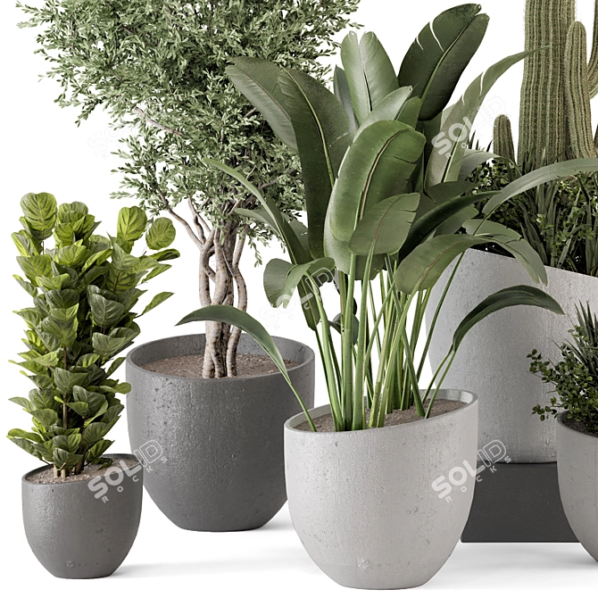 Rusty Concrete Pot Indoor Plants 3D model image 2