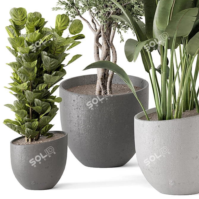 Rusty Concrete Pot Indoor Plants 3D model image 4