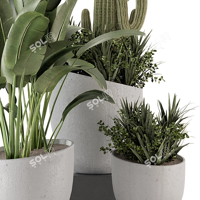 Rusty Concrete Pot Indoor Plants 3D model image 6