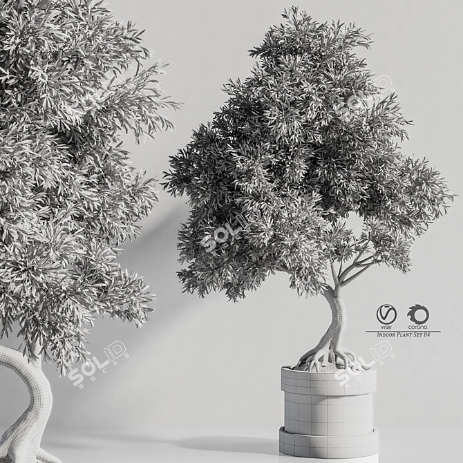 Bonsai Plant Models Bundle 3D model image 5