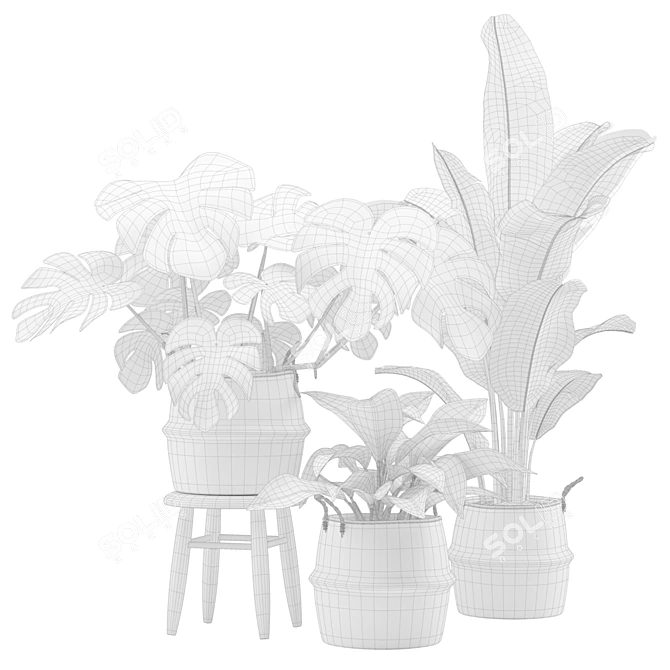 Exotic Indoor Plant Collection Pack 3D model image 3