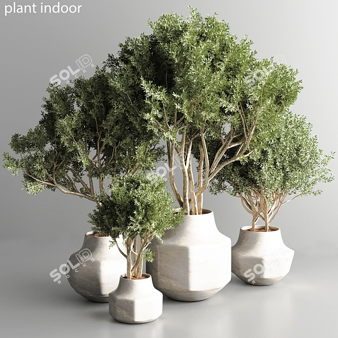 Stylish Indoor Plant Model 2015 3D model image 1