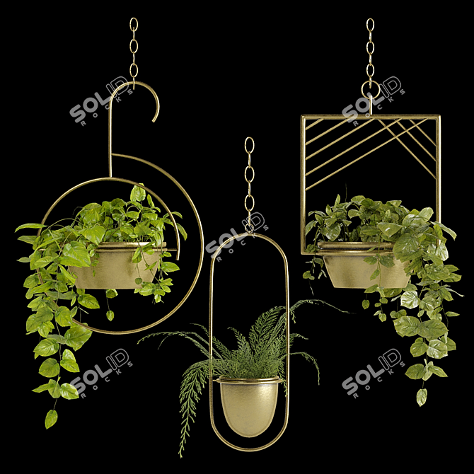 PBR Hanging Money Fern Plants 3D model image 1