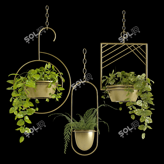 PBR Hanging Money Fern Plants 3D model image 2