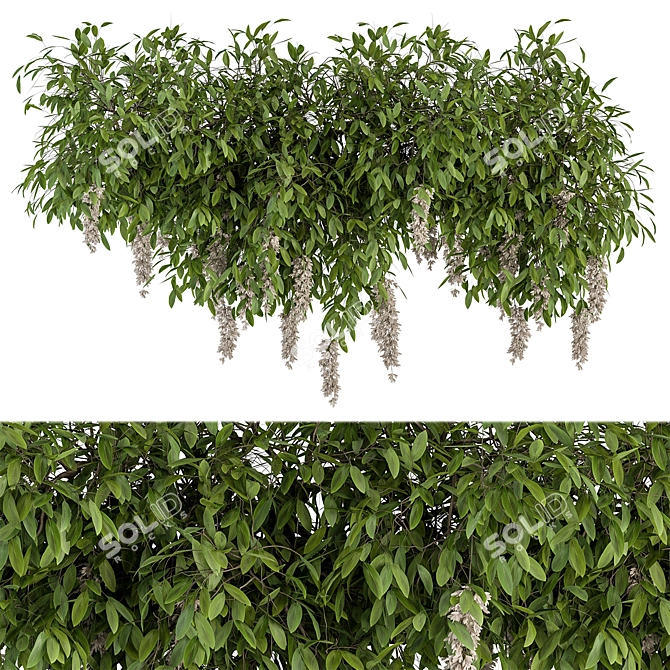 Diverse Outdoor Hanging Plants Set 3D model image 1