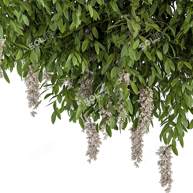 Diverse Outdoor Hanging Plants Set 3D model image 2