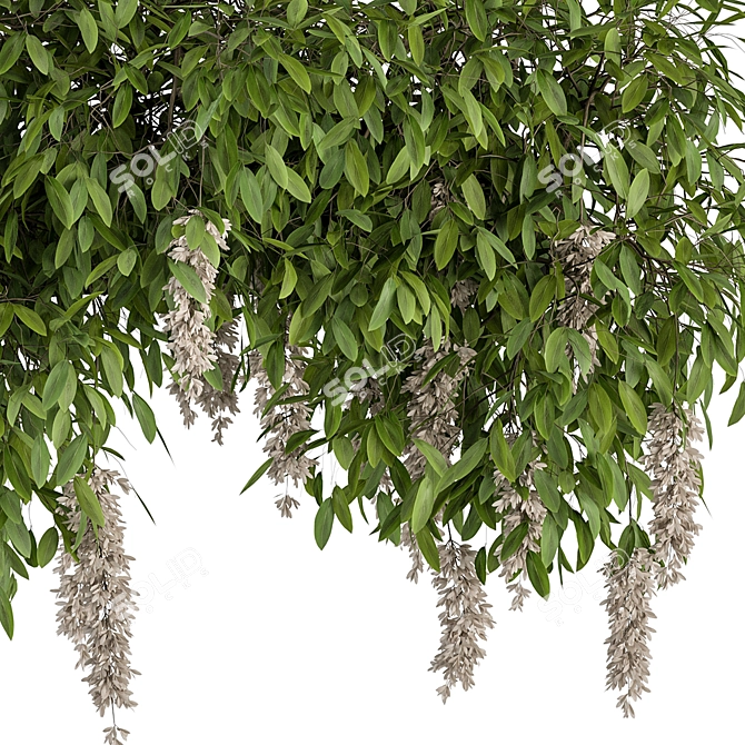 Diverse Outdoor Hanging Plants Set 3D model image 3