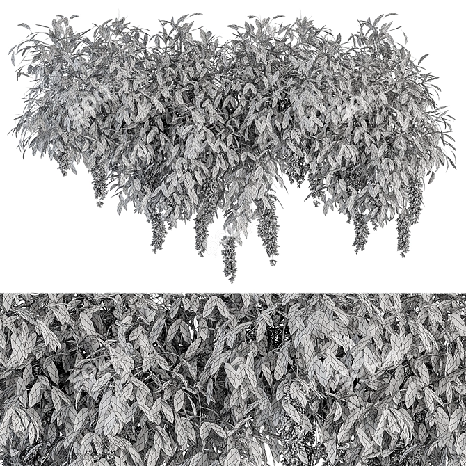 Diverse Outdoor Hanging Plants Set 3D model image 4