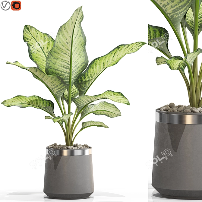 Unique Plant Collection Set 3D model image 1