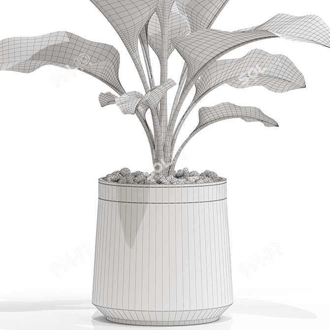 Unique Plant Collection Set 3D model image 5