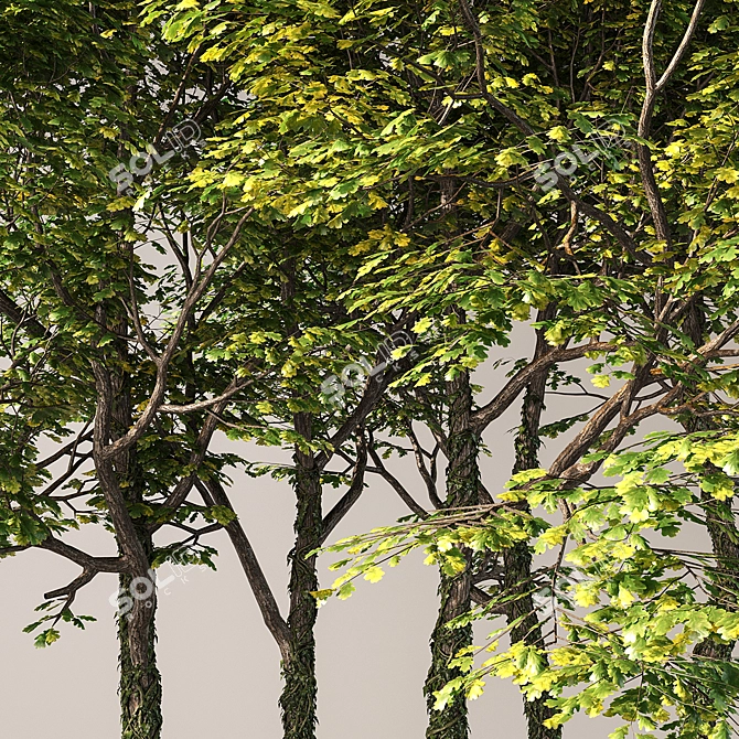 Hilltop Forest Scene Decor 3D model image 3