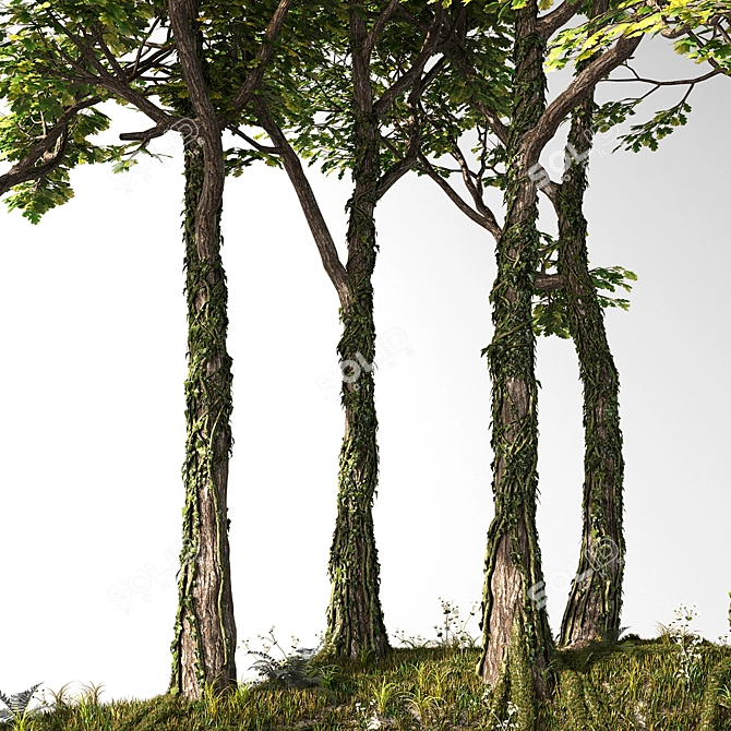 Hilltop Forest Scene Decor 3D model image 4