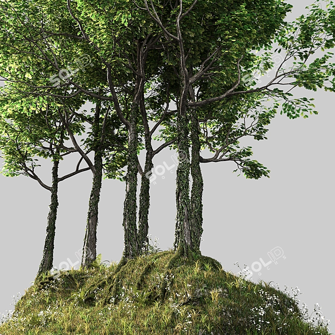 Hilltop Forest Scene Decor 3D model image 5