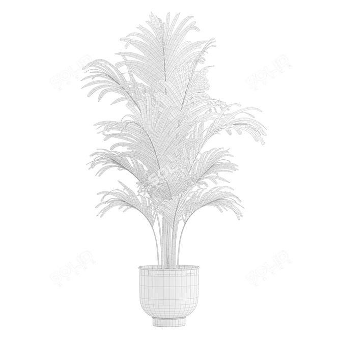 Exotic Areca Palm Set 3D model image 7