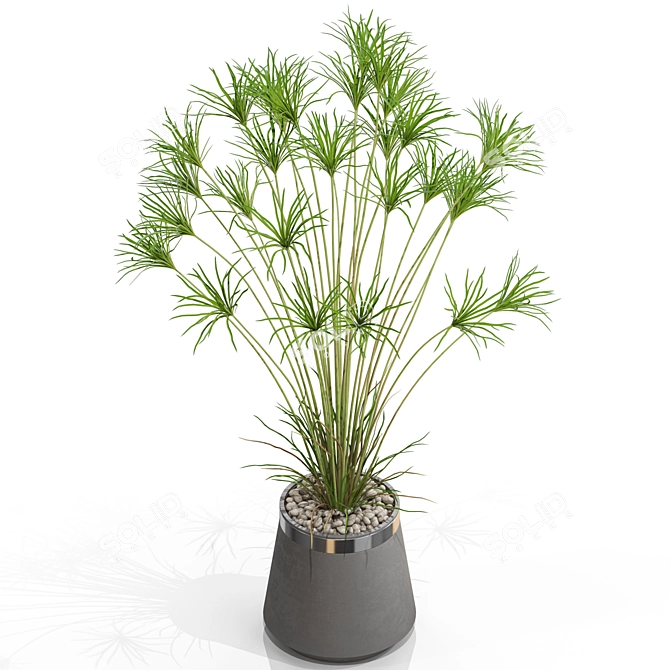 Exotic Plant Collection Set 667 3D model image 3