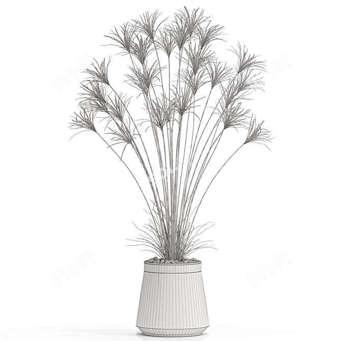 Exotic Plant Collection Set 667 3D model image 4