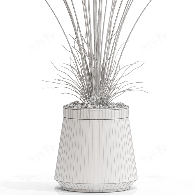 Exotic Plant Collection Set 667 3D model image 5