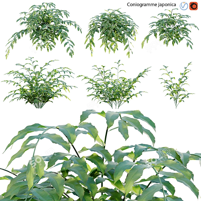 Archive Bundle: 3D Models & Textures 3D model image 1