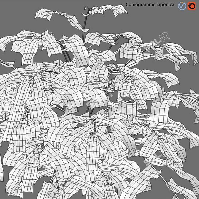 Archive Bundle: 3D Models & Textures 3D model image 3