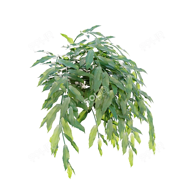 Archive Bundle: 3D Models & Textures 3D model image 4