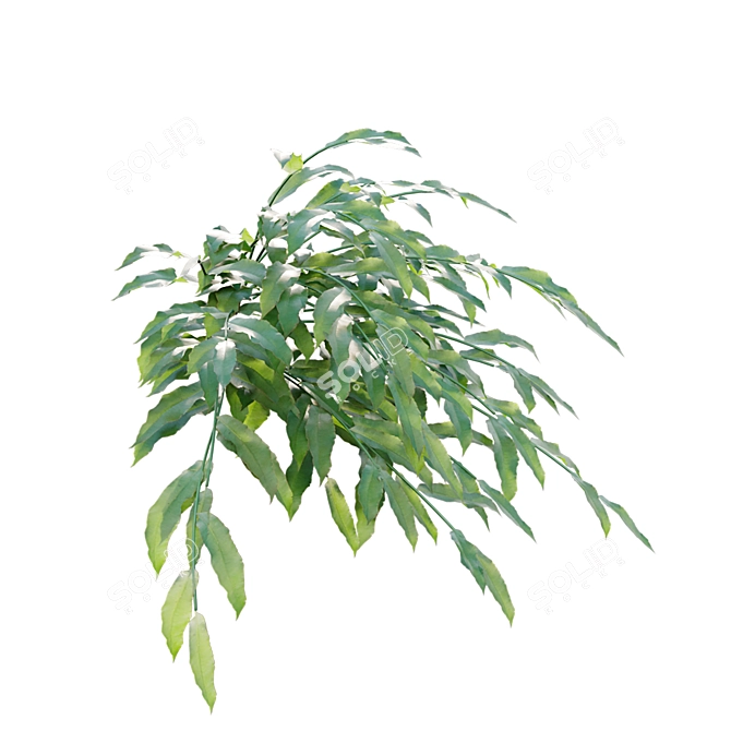 Archive Bundle: 3D Models & Textures 3D model image 5