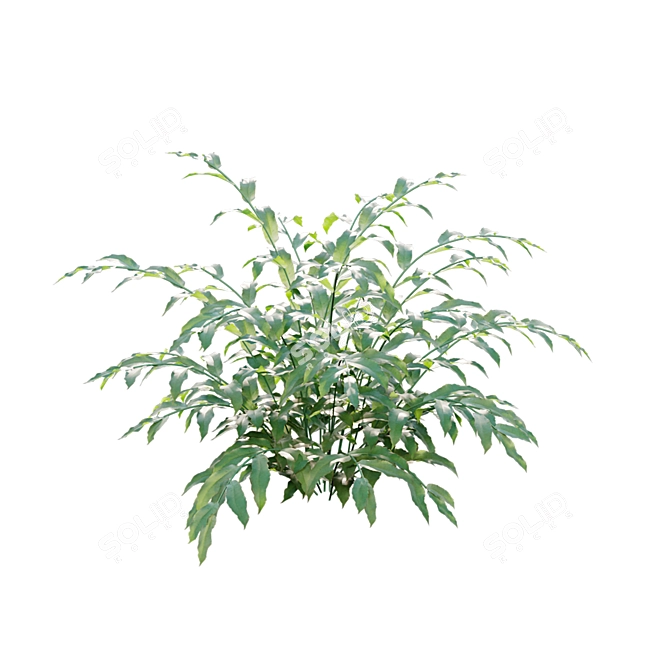 Archive Bundle: 3D Models & Textures 3D model image 6