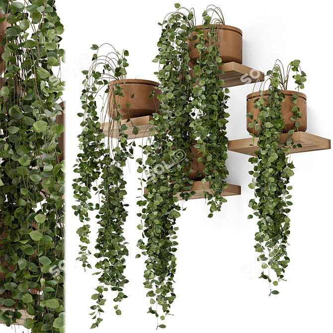 Concrete Pot Hanging Plants Set 3D model image 1