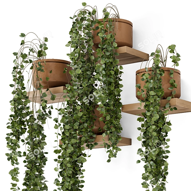 Concrete Pot Hanging Plants Set 3D model image 2